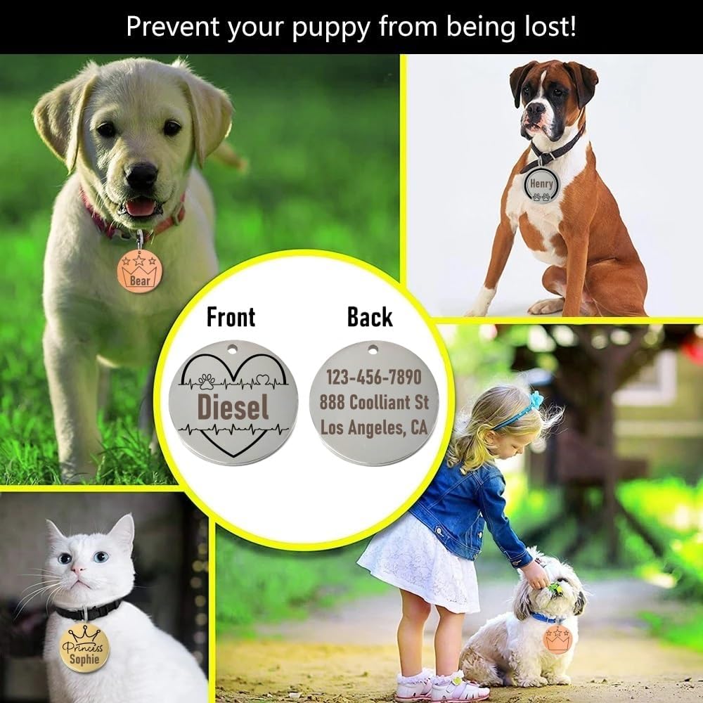 Collage of dogs with pet tags, promoting preventing pets from being lost.