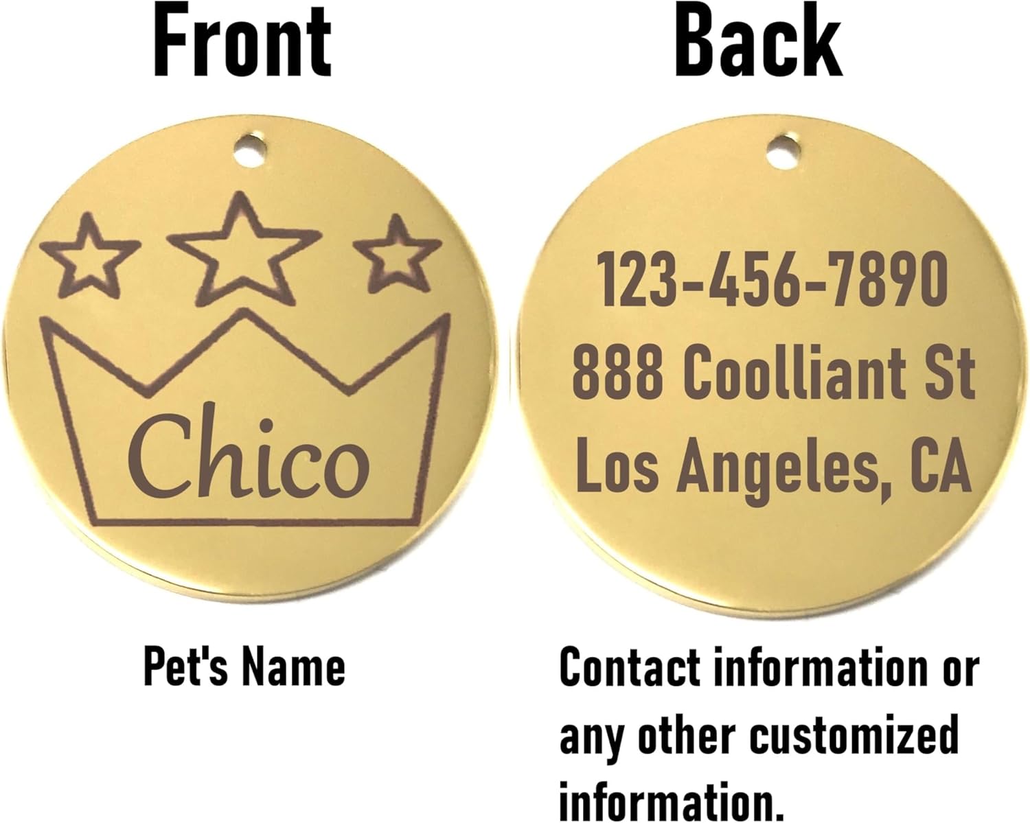 Gold pet tag with 'Chico' on one side and contact information on the other, labeled 'Front' and 'Back'.