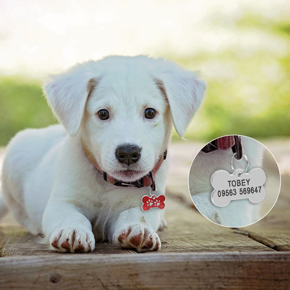 Personalized Pet Name Tags with Dog Bone-Shaped and Paw Print - custom pet ID tag, engraved puppy name tag, cute puppy ID tag for dog collar